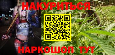 хмурый Новозыбков
