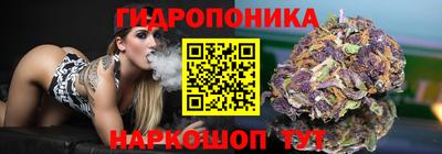 таблы Новокубанск