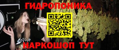 таблы Новокубанск