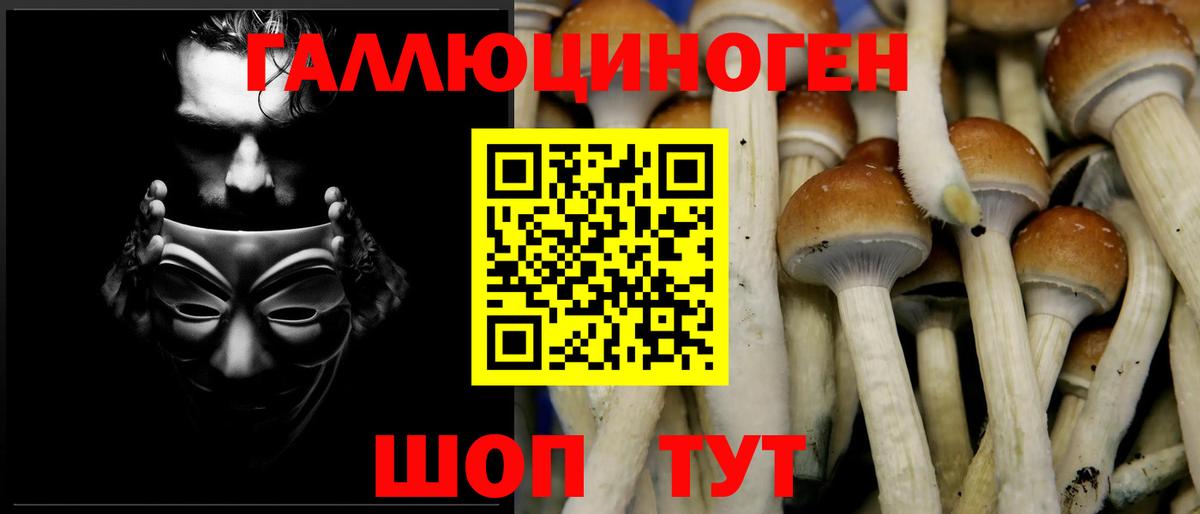 Галлюциногенные грибы Magic Shrooms  Вход с VPN  Тара 
